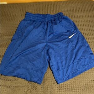 Nike Men's Royal Blue Sports Shorts